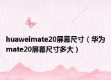 huaweimate20屏幕尺寸（华为mate20屏幕尺寸多大）
