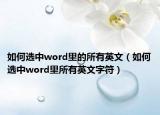 如何选中word里的所有英文（如何选中word里所有英文字符）