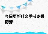 今日更新什么季节吃香椿芽
