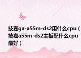 技嘉ga-a55m-ds2用什么cpu（技嘉a55m-ds2主板配什么cpu最好）