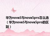 华为nova5与nova5pro怎么选（华为nova5与nova5pro的区别）