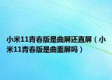 小米11青春版是曲屏还直屏（小米11青春版是曲面屏吗）