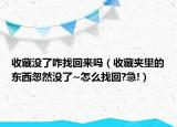 收藏没了咋找回来吗（收藏夹里的东西忽然没了~怎么找回?急!）
