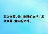 怎么恢复u盘中删除的文档（怎么恢复u盘中的文件）
