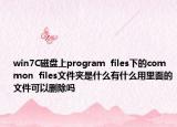 win7C磁盘上program  files下的common  files文件夹是什么有什么用里面的文件可以删除吗
