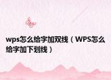 wps怎么给字加双线（WPS怎么给字加下划线）