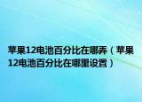 苹果12电池百分比在哪弄（苹果12电池百分比在哪里设置）