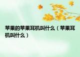 苹果的苹果耳机叫什么（苹果耳机叫什么）