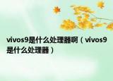 vivos9是什么处理器啊（vivos9是什么处理器）