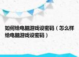 如何给电脑游戏设密码（怎么样给电脑游戏设密码）