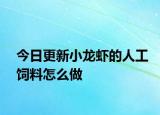 今日更新小龙虾的人工饲料怎么做
