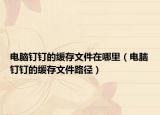 电脑钉钉的缓存文件在哪里（电脑钉钉的缓存文件路径）