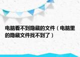电脑看不到隐藏的文件（电脑里的隐藏文件找不到了）