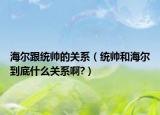 海尔跟统帅的关系（统帅和海尔到底什么关系啊?）