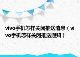 vivo手机怎样关闭推送消息（vivo手机怎样关闭推送通知）