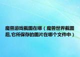 魔兽游戏截图在哪（魔兽世界截图后,它所保存的图片在哪个文件中）