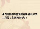 今日更新停车座爱枫林晚 霜叶红于二月花（含秋字的诗句）