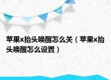 苹果x抬头唤醒怎么关（苹果x抬头唤醒怎么设置）