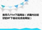 推荐几个bt下载网站（求国内比较好的BT下载论坛或者网站）