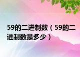 59的二进制数（59的二进制数是多少）