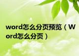 word怎么分页预览（Word怎么分页）
