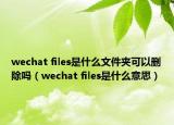 wechat files是什么文件夹可以删除吗（wechat files是什么意思）
