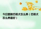 今日更新巴哥犬怎么养（巴哥犬怎么养最好）