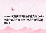 winsxs文件夹可以删除那些文件（winsxs是什么文件夹 Winsxs文件夹可以删除吗）