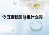 今日更新瓢能组什么词