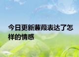 今日更新蒹葭表达了怎样的情感