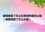 被蜜蜂蛰了怎么处理消肿最快止痛（被蜜蜂蛰了怎么处理）