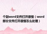 个别word文件打开很慢（word部分文件打开很慢怎么处理）