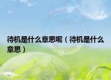待机是什么意思呢（待机是什么意思）