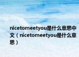 nicetomeetyou是什么意思中文（nicetomeetyou是什么意思）