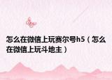 怎么在微信上玩赛尔号h5（怎么在微信上玩斗地主）