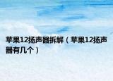 苹果12扬声器拆解（苹果12扬声器有几个）
