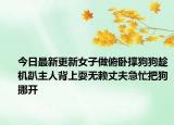 今日最新更新女子做俯卧撑狗狗趁机趴主人背上耍无赖丈夫急忙把狗挪开