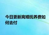 今日更新离婚抚养费如何去付