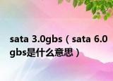 sata 3.0gbs（sata 6.0gbs是什么意思）