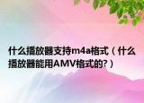 什么播放器支持m4a格式（什么播放器能用AMV格式的?）