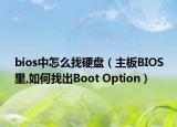 bios中怎么找硬盘（主板BIOS里,如何找出Boot Option）