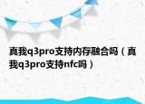 真我q3pro支持内存融合吗（真我q3pro支持nfc吗）