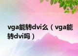 vga能转dvi么（vga能转dvi吗）