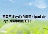 苹果平板cydia在哪里（ipad air cydia源再哪里打开）