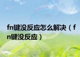 fn键没反应怎么解决（fn键没反应）