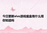 今日更新vivo游戏魔盒有什么用 你知道吗