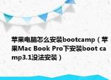 苹果电脑怎么安装bootcamp（苹果Mac Book Pro下安装boot camp3.1没法安装）