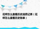 花呗怎么查看历史消费记录（花呗怎么查看历史账单）