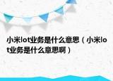 小米lot业务是什么意思（小米lot业务是什么意思啊）