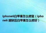 iphone6白苹果怎么修复（iphone6 越狱后白苹果怎么修好）